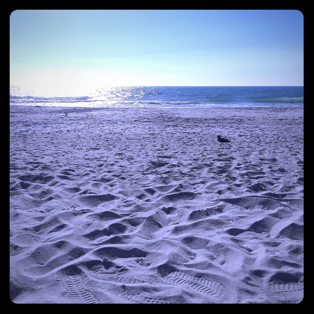 Meet your Posher, Helen